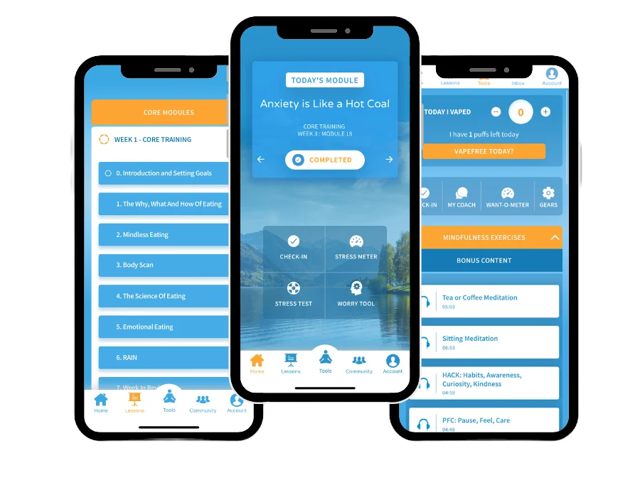 Behavior Change Apps
