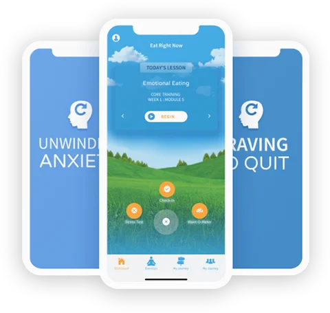 Unwinding Anxiety App