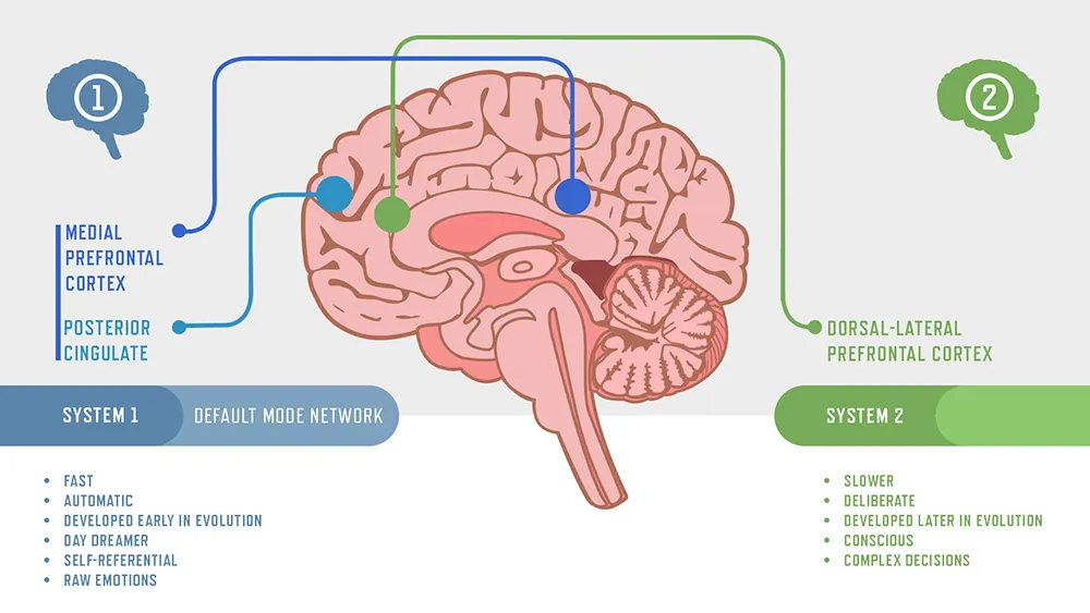 Diagram comparing old brain reward system and new brain rational thinking